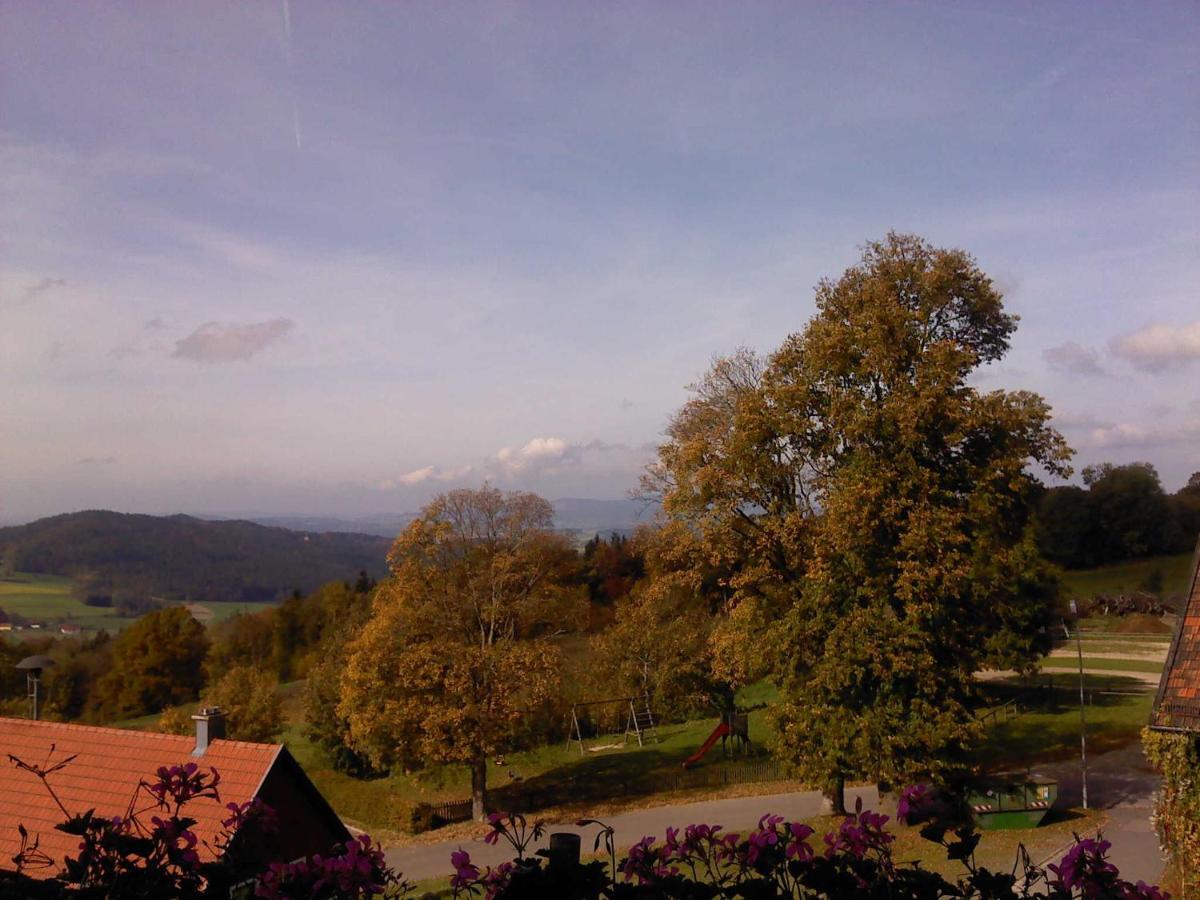 Ferienwohnung Schoenblick Waldmünchen Exteriör bild