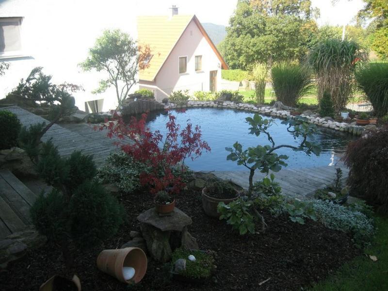 Ferienwohnung Schoenblick Waldmünchen Exteriör bild